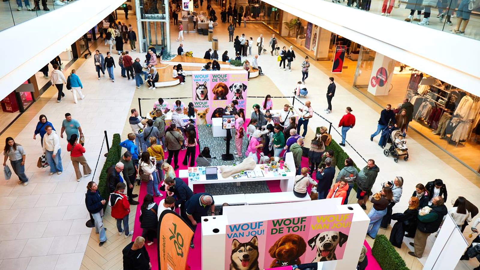 Dog Day : Westland Shopping déroule le tapis rose pour les chiens le 3 octobre Vue de l’atrium central du Westland Shopping à Anderlecht pendant le Dog Day, avec tapis rose, stands et visiteurs accompagnés de leurs chiens
