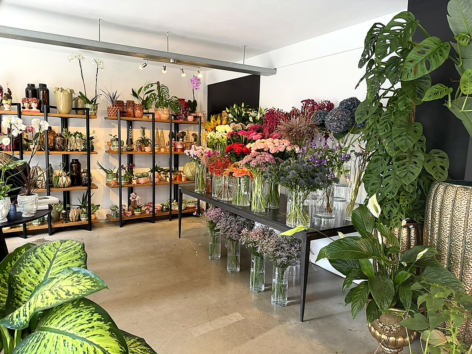 Espace fleuristerie de DO-Wolf : orchidées, hortensias, anthuriums et plantes vertes sur tables en verre Espace fleuristerie de DO-Wolf : orchidées, hortensias, anthuriums et plantes vertes sur tables en verre
